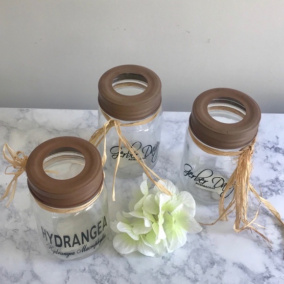 Mason Jars 3 Total - Picture 3 of 3